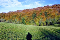IMG_20171030_101420-1