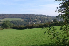 View from the Common