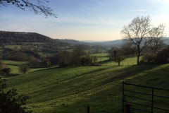 View to the North late afternoon