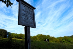 St George's Field
