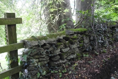 Old Cotswold stone wall